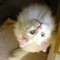 Square_avatar