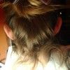 Mimica