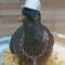 Square_swagpigeon