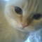 Square_neena_1262434647