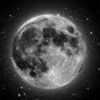 Luna S.