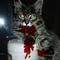 Square_zombiekitty_1290468001