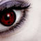 Square_98052551_e16c266135_copy_1215641209